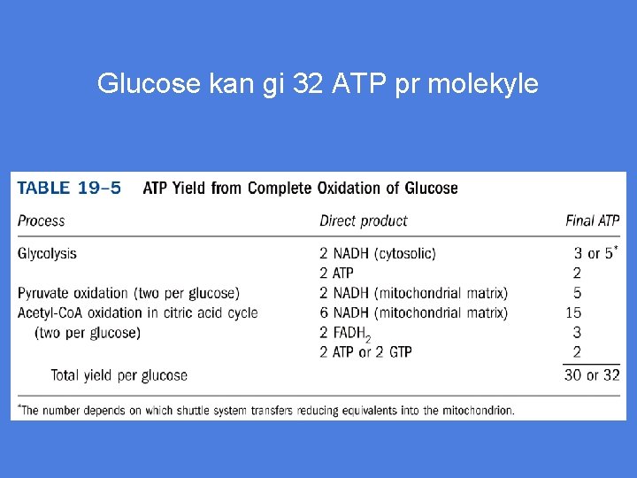Glucose kan gi 32 ATP pr molekyle 