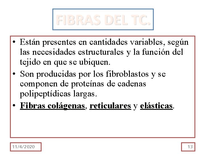 FIBRAS DEL TC. • Están presentes en cantidades variables, según las necesidades estructurales y FIBRAS DEL TC. • Están presentes en cantidades variables, según las necesidades estructurales y