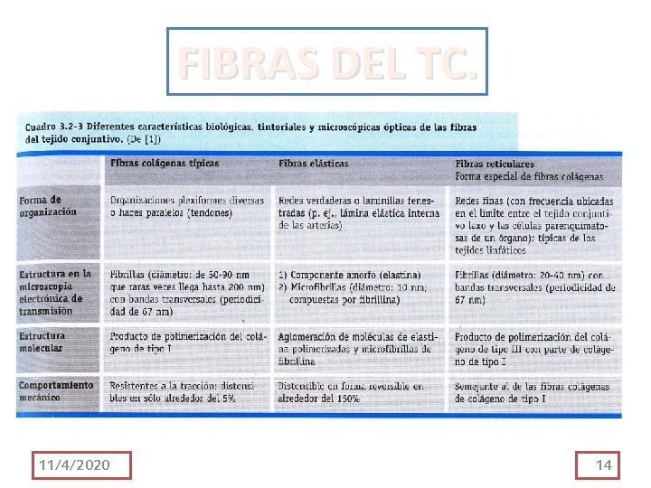 FIBRAS DEL TC. 11/4/2020 14 FIBRAS DEL TC. 11/4/2020 14