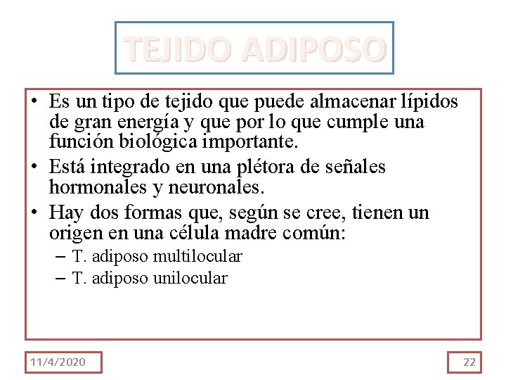 TEJIDO ADIPOSO • Es un tipo de tejido que puede almacenar lípidos de gran TEJIDO ADIPOSO • Es un tipo de tejido que puede almacenar lípidos de gran