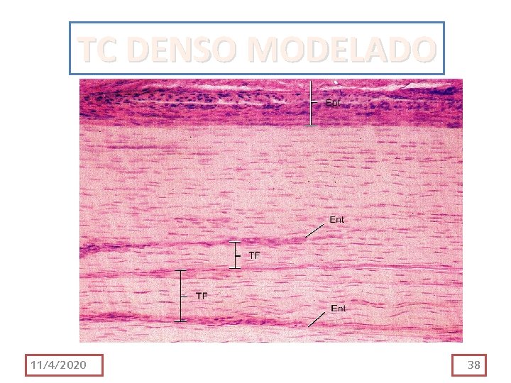 TC DENSO MODELADO 11/4/2020 38 TC DENSO MODELADO 11/4/2020 38