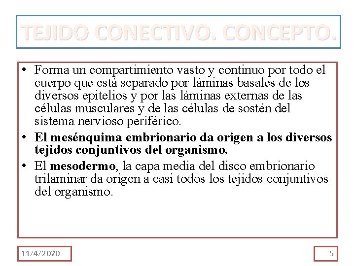 TEJIDO CONECTIVO. CONCEPTO. • Forma un compartimiento vasto y continuo por todo el cuerpo TEJIDO CONECTIVO. CONCEPTO. • Forma un compartimiento vasto y continuo por todo el cuerpo