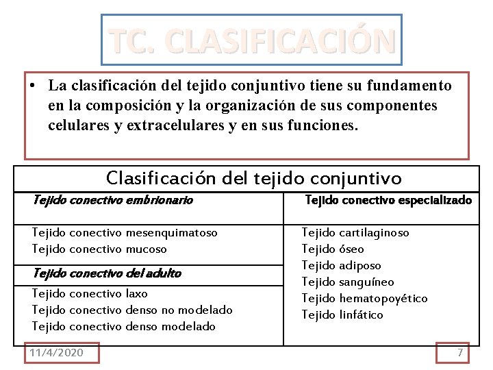 TC. CLASIFICACIÓN • La clasificación del tejido conjuntivo tiene su fundamento en la composición TC. CLASIFICACIÓN • La clasificación del tejido conjuntivo tiene su fundamento en la composición
