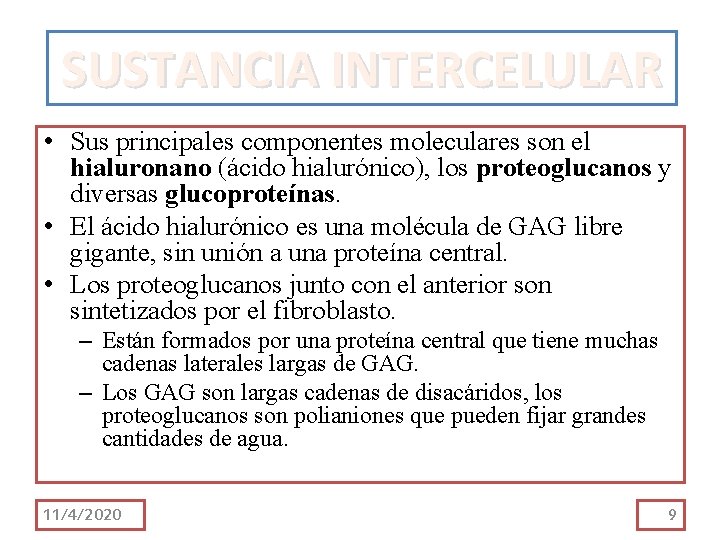 SUSTANCIA INTERCELULAR • Sus principales componentes moleculares son el hialuronano (ácido hialurónico), los proteoglucanos SUSTANCIA INTERCELULAR • Sus principales componentes moleculares son el hialuronano (ácido hialurónico), los proteoglucanos