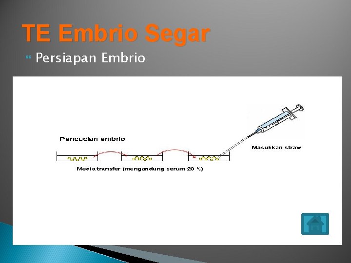 TE Embrio Segar Persiapan Embrio 