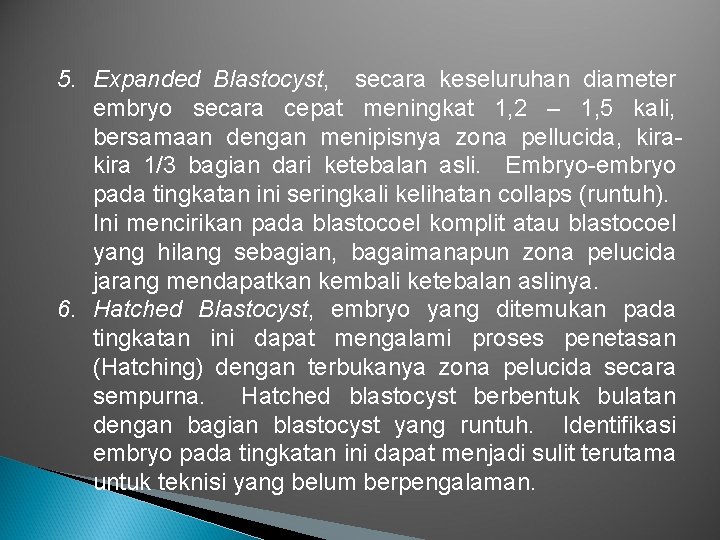 5. Expanded Blastocyst, secara keseluruhan diameter embryo secara cepat meningkat 1, 2 – 1,