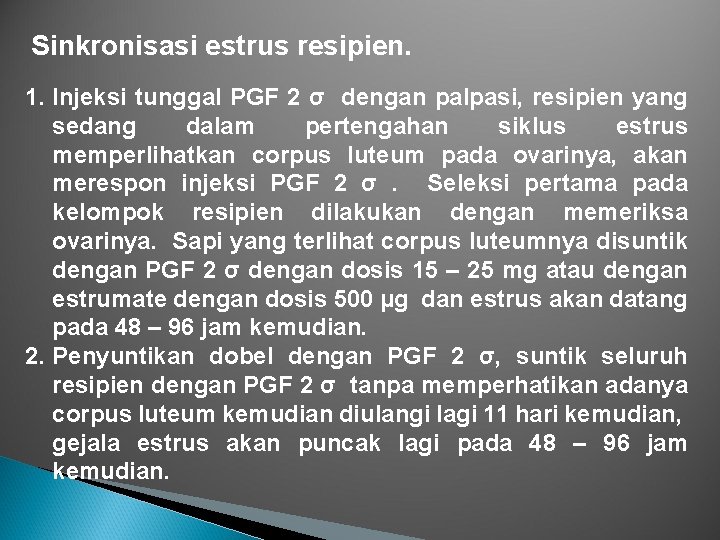 Sinkronisasi estrus resipien. 1. Injeksi tunggal PGF 2 σ dengan palpasi, resipien yang sedang