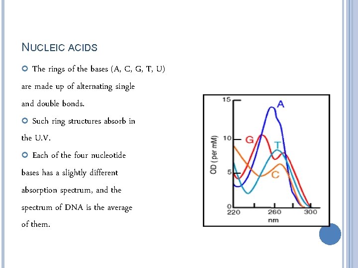 SPECTROPHOTOMETRY QUANTIFICATION OF NUCLEIC ACIDS Pauline Asami Bec