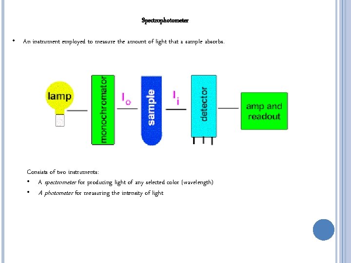 SPECTROPHOTOMETRY QUANTIFICATION OF NUCLEIC ACIDS Pauline Asami Bec