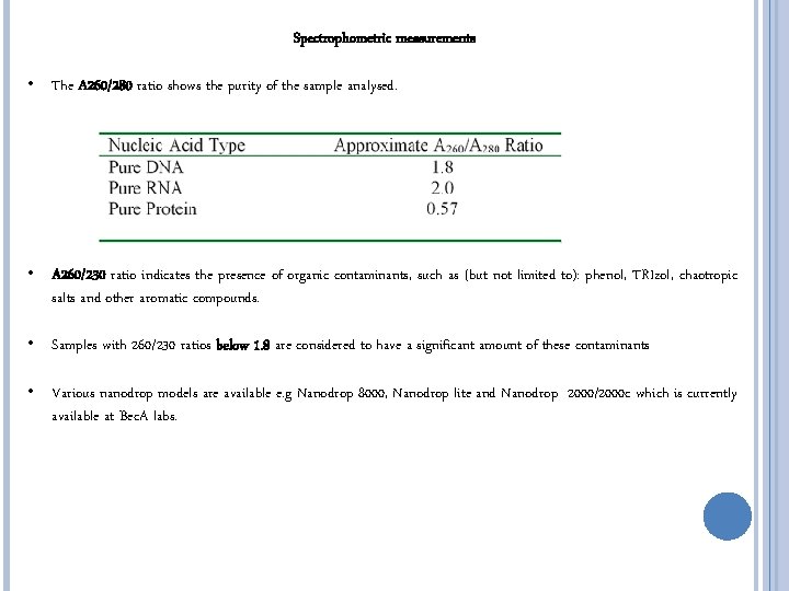 SPECTROPHOTOMETRY QUANTIFICATION OF NUCLEIC ACIDS Pauline Asami Bec