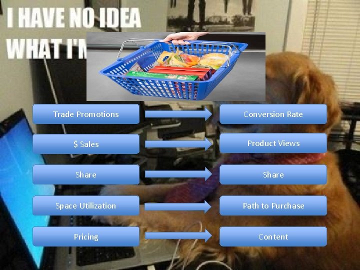 Trade Promotions Conversion Rate $ Sales Product Views Share Space Utilization Path to Purchase