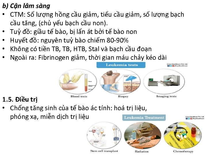 b) Cận lâm sàng • CTM: Số lượng hồng cầu giảm, tiểu cầu giảm,