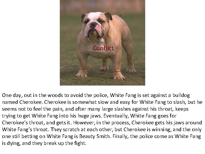 Conflict One day, out in the woods to avoid the police, White Fang is