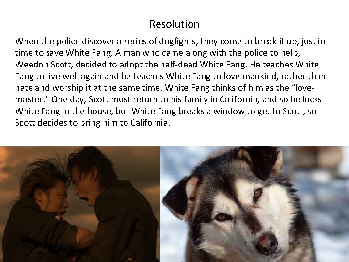 Resolution When the police discover a series of dogfights, they come to break it