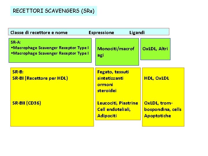 RECETTORI SCAVENGERS (SRs) Classe di recettore e nome Espressione SR-A: • Macrophage Scavenger Receptor