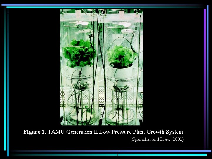 Figure 1. TAMU Generation II Low Pressure Plant Growth System. (Spanarkel and Drew, 2002)