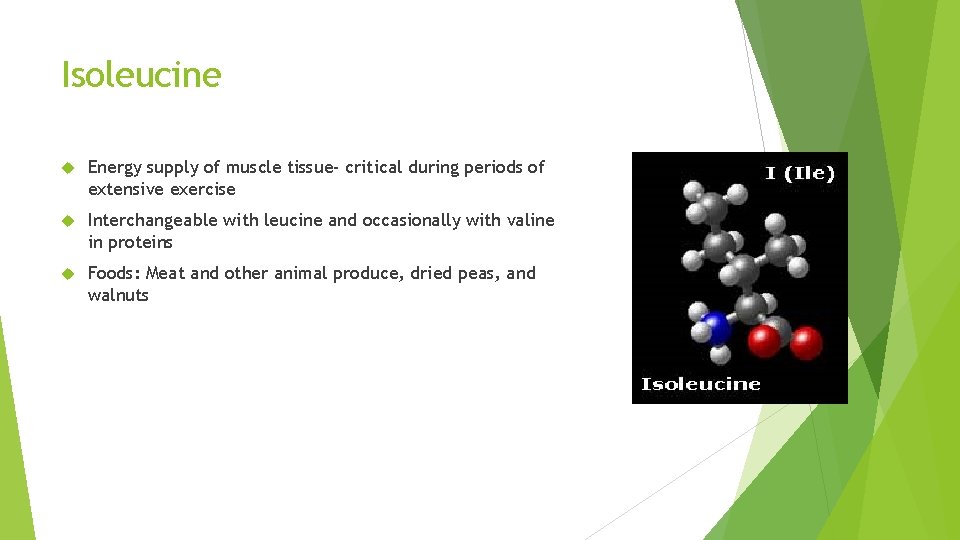 Isoleucine Energy supply of muscle tissue- critical during periods of extensive exercise Interchangeable with