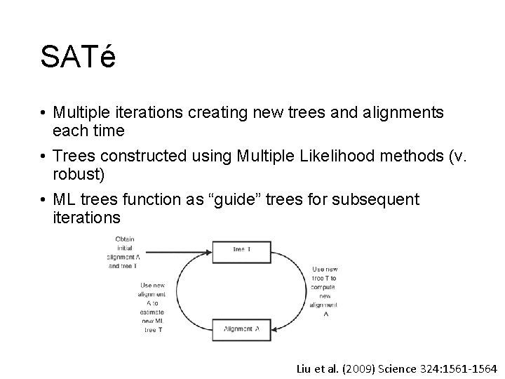 SATé • Multiple iterations creating new trees and alignments each time • Trees constructed