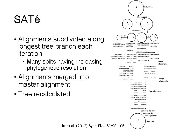 SATé • Alignments subdivided alongest tree branch each iteration • Many splits having increasing