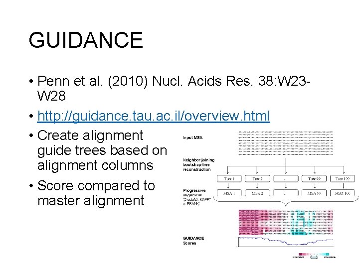 GUIDANCE • Penn et al. (2010) Nucl. Acids Res. 38: W 23 W 28