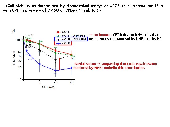 <Cell viability as determined by clonogenical assays of U 2 OS cells (treated for