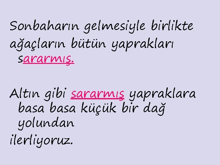 Sonbaharın gelmesiyle birlikte ağaçların bütün yaprakları sararmış. Altın gibi sararmış yapraklara basa küçük bir