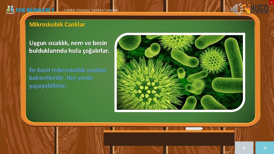 X FEN BİLİMLERİ 5 | Canlılar Dünyası / Canlıları Tanıyalım Mikroskobik Canlılar Uygun sıcaklık,