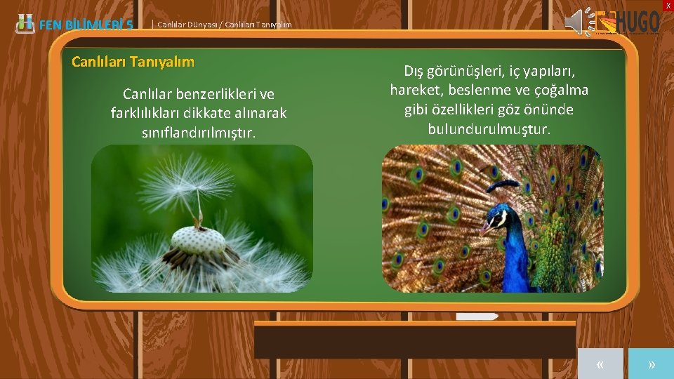 X FEN BİLİMLERİ 5 | Canlılar Dünyası / Canlıları Tanıyalım Canlılar benzerlikleri ve farklılıkları