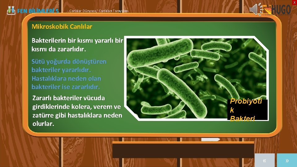 X FEN BİLİMLERİ 5 | Canlılar Dünyası / Canlıları Tanıyalım Mikroskobik Canlılar Bakterilerin bir