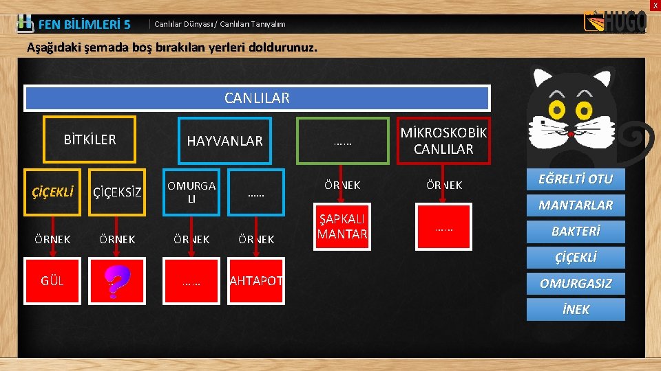 X FEN BİLİMLERİ 5 | Canlılar Dünyası / Canlıları Tanıyalım Aşağıdaki şemada boş bırakılan