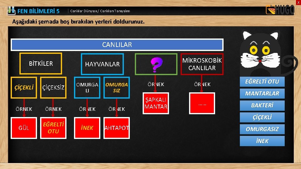 X FEN BİLİMLERİ 5 | Canlılar Dünyası / Canlıları Tanıyalım Aşağıdaki şemada boş bırakılan