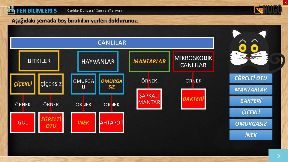 X FEN BİLİMLERİ 5 | Canlılar Dünyası / Canlıları Tanıyalım Aşağıdaki şemada boş bırakılan