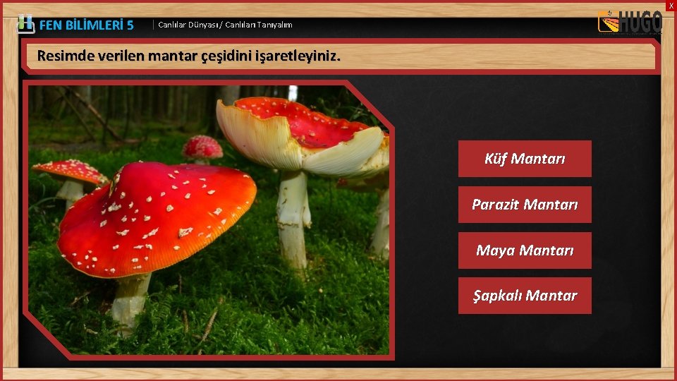 X FEN BİLİMLERİ 5 | Canlılar Dünyası / Canlıları Tanıyalım Resimde verilen mantar çeşidini