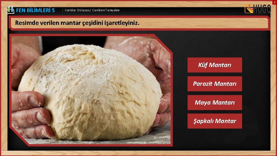 X FEN BİLİMLERİ 5 | Canlılar Dünyası / Canlıları Tanıyalım Resimde verilen mantar çeşidini