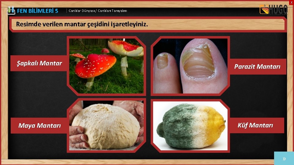 X FEN BİLİMLERİ 5 | Canlılar Dünyası / Canlıları Tanıyalım Resimde verilen mantar çeşidini