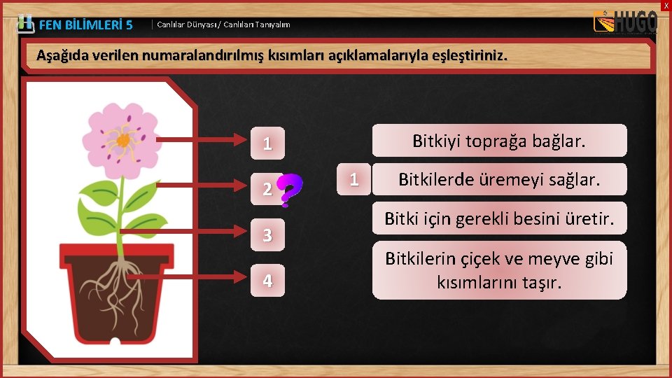 X FEN BİLİMLERİ 5 | Canlılar Dünyası / Canlıları Tanıyalım Aşağıda verilen numaralandırılmış kısımları