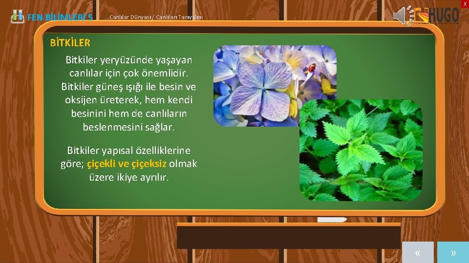 X FEN BİLİMLERİ 5 | Canlılar Dünyası / Canlıları Tanıyalım BİTKİLER Bitkiler yeryüzünde yaşayan