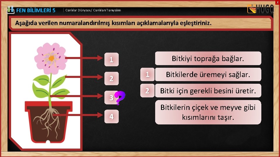 X FEN BİLİMLERİ 5 | Canlılar Dünyası / Canlıları Tanıyalım Aşağıda verilen numaralandırılmış kısımları