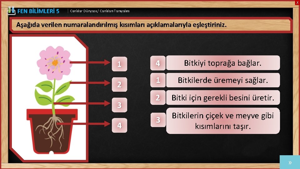 X FEN BİLİMLERİ 5 | Canlılar Dünyası / Canlıları Tanıyalım Aşağıda verilen numaralandırılmış kısımları