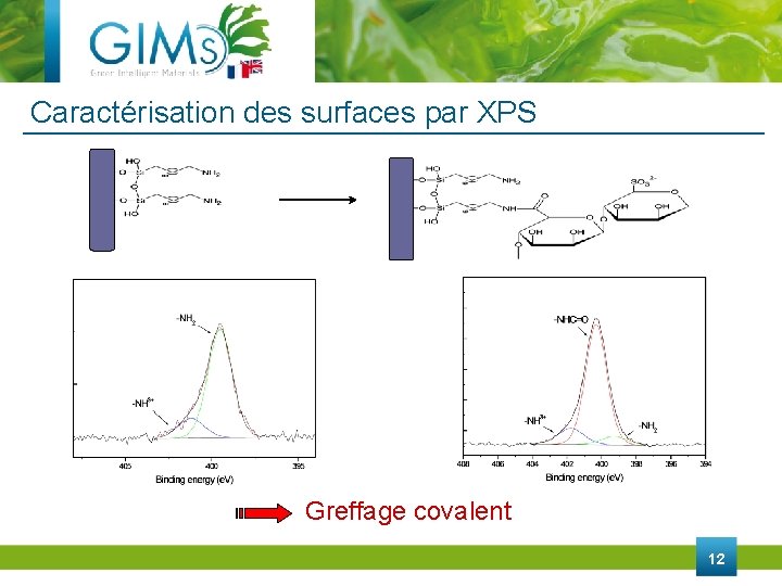 Caractérisation des surfaces par XPS Greffage covalent 12 