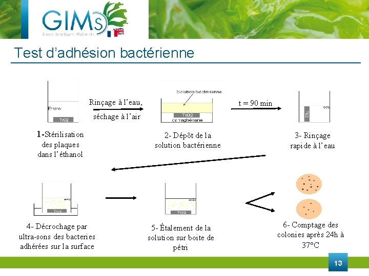 Test d’adhésion bactérienne Rinçage à l’eau, t = 90 min séchage à l’air 1