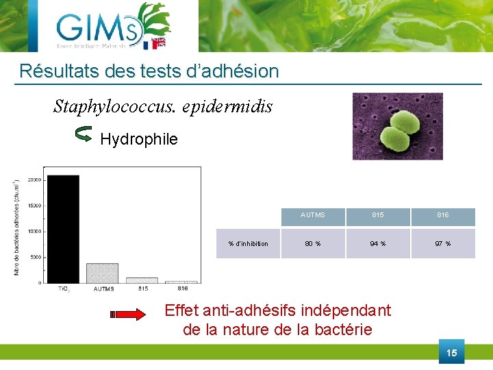 Résultats des tests d’adhésion Staphylococcus. epidermidis Hydrophile % d’inhibition AUTMS 815 816 80 %