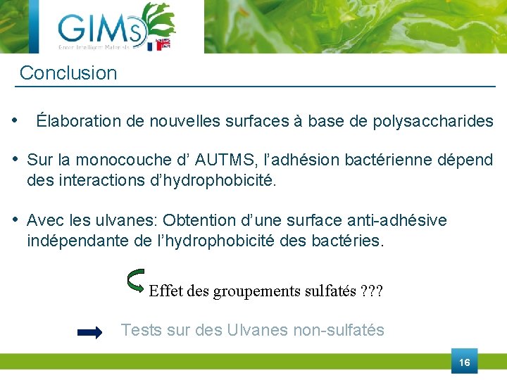 Conclusion • Élaboration de nouvelles surfaces à base de polysaccharides • Sur la monocouche