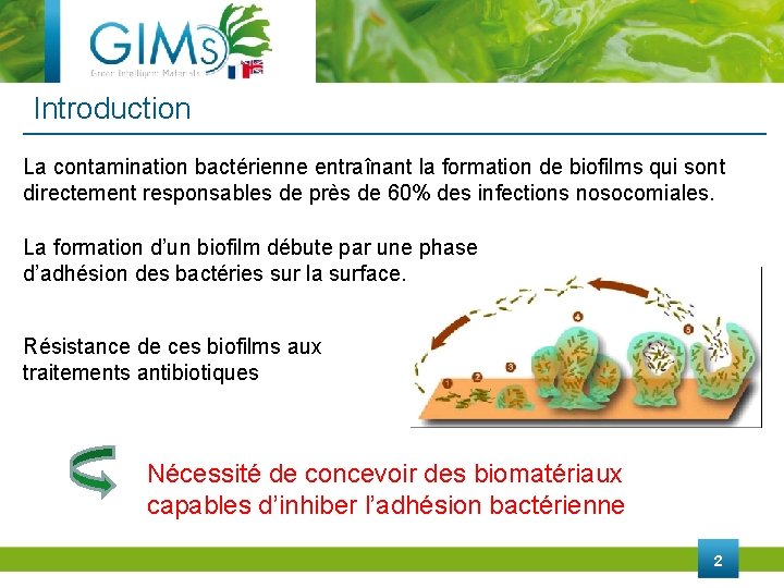 Introduction La contamination bactérienne entraînant la formation de biofilms qui sont directement responsables de