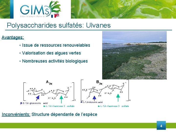 Polysaccharides sulfatés: Ulvanes Avantages: • Issue de ressources renouvelables • Valorisation des algues vertes