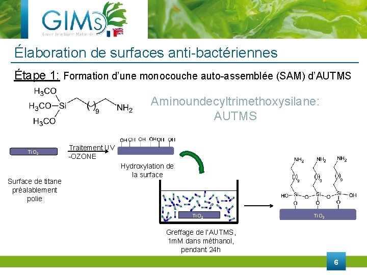 Élaboration de surfaces anti-bactériennes Étape 1: Formation d’une monocouche auto-assemblée (SAM) d’AUTMS Aminoundecyltrimethoxysilane: AUTMS