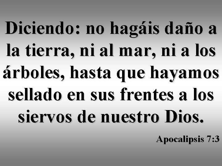 Diciendo: no hagáis daño a la tierra, ni al mar, ni a los árboles,