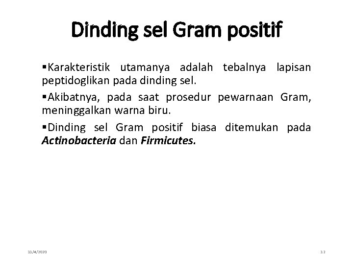 Dinding sel Gram positif §Karakteristik utamanya adalah tebalnya lapisan peptidoglikan pada dinding sel. §Akibatnya,