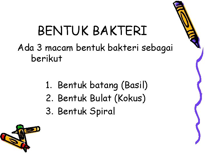 BENTUK BAKTERI Ada 3 macam bentuk bakteri sebagai berikut 1. Bentuk batang (Basil) 2.