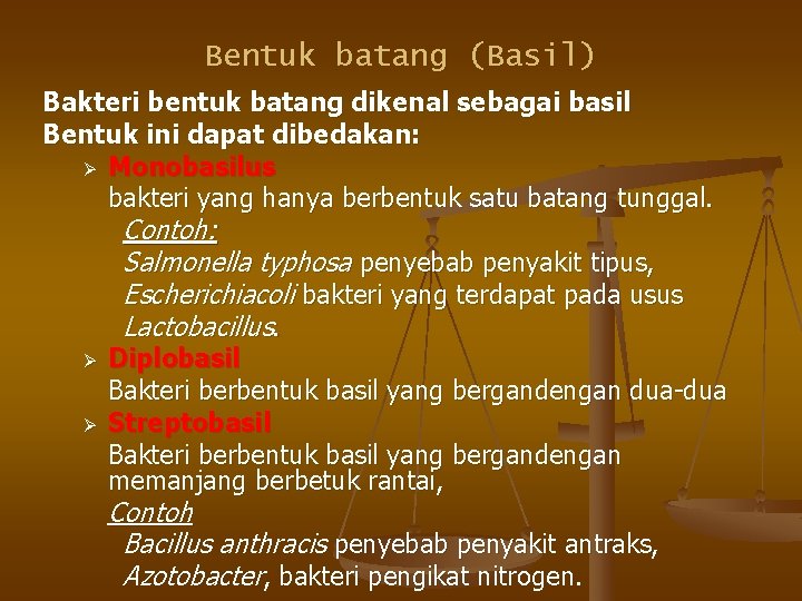 Bentuk batang (Basil) Bakteri bentuk batang dikenal sebagai basil Bentuk ini dapat dibedakan: Ø